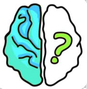 Brain Out