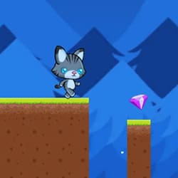 Swing Cat